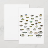 North American Sunfish Group サンキューカード (正面/裏面)