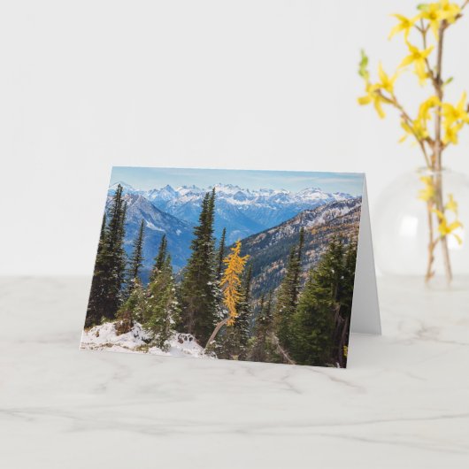 North Cascade Mountains Wenatchee National Forest カード (黄色い花)