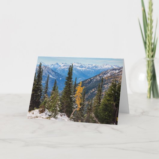 North Cascade Mountains Wenatchee National Forest カード (正面)