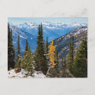 North Cascade Mountains Wenatchee National Forest ポストカード
