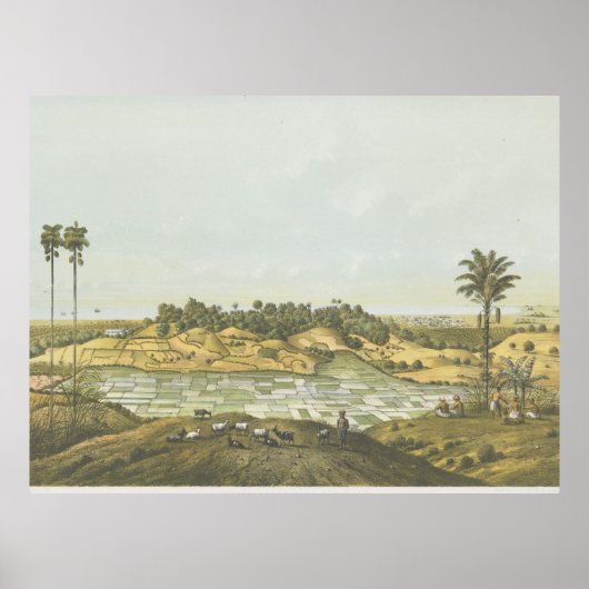 North coast near Semarang Poster ポスター (正面)