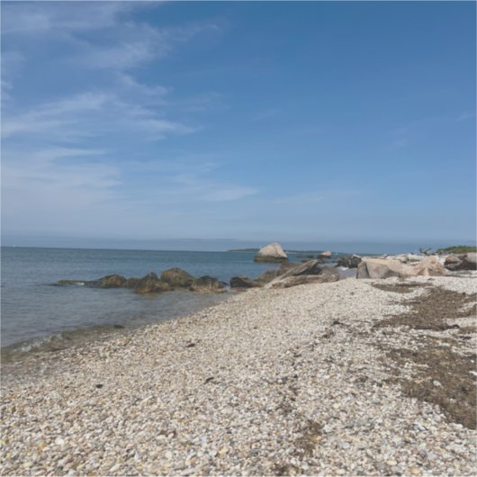 North Fork Sound Custom-Cut Vinyl Sticker シール (正面)