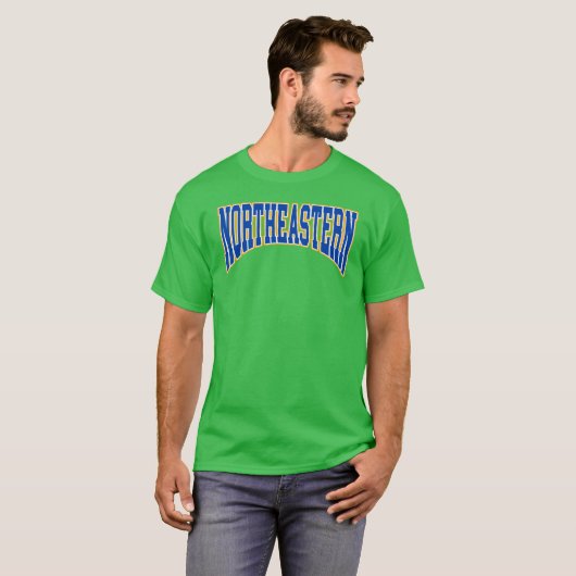 northeastern illinois university9 tシャツ (正面フル)