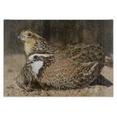 Northern Bobwhite quailのベビーで飲む カッティングボード (正面)