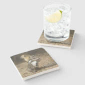 Northern Bobwhite quailのベビーで飲む ストーンコースター (横)