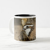 Northern Bobwhite quailのベビーで飲む ツートーンマグカップ (正面左)