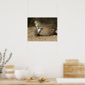 Northern Bobwhite quailのベビーで飲む ポスター (キッチン)