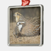 Northern Bobwhite quailのベビーで飲む メタルオーナメント (左)