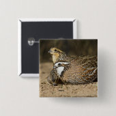 Northern Bobwhite quailのベビーで飲む 缶バッジ (正面&裏面)