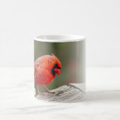 Northern Cardinal Psalm 145:14 KJV コーヒーマグカップ (中央)