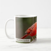 Northern Cardinal Psalm 145:14 KJV コーヒーマグカップ (左)