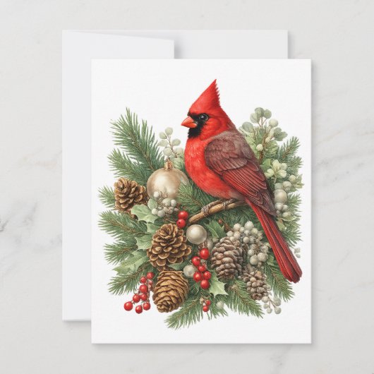 Northern Cardinal Winter Songbirds Collection  ノートカード (正面)