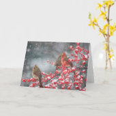 Northern Cardinals | Marion, Illinois カード (黄色い花)