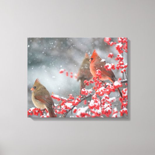 Northern Cardinals | Marion, Illinois キャンバスプリント (正面)