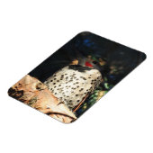 Northern Flicker – スポット マグネット (左側)