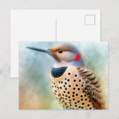 Northern Flicker Bird Art ポストカード (正面/裏面)