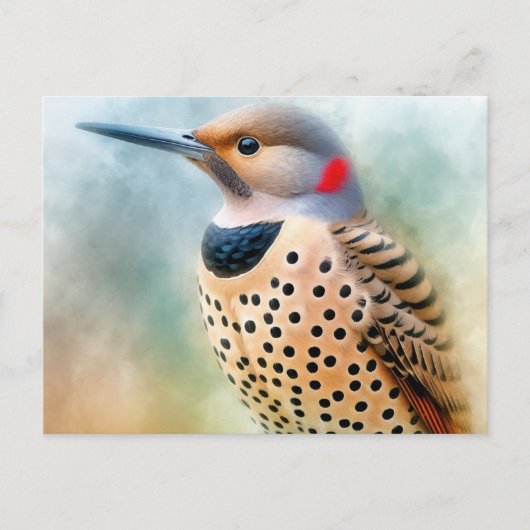 Northern Flicker Bird Art ポストカード (正面)