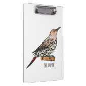 Northern flicker bird cartoon illustration  クリップボード (右)