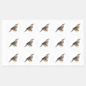 Northern flicker bird cartoon illustration  ラベル (シート)