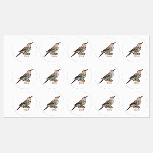 Northern flicker bird cartoon illustration  ラベル (シート)