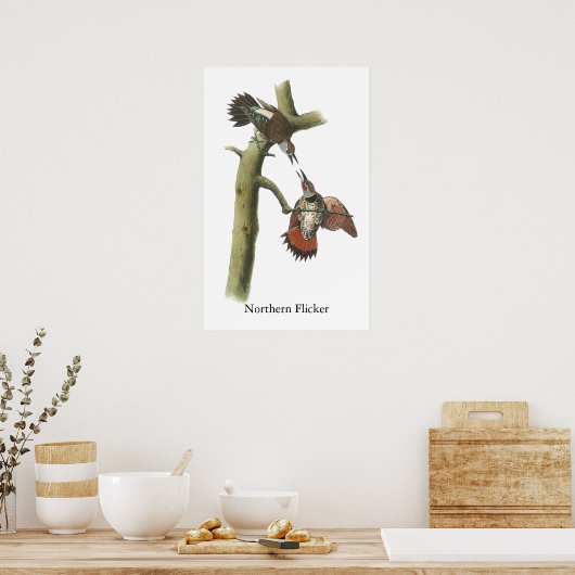 Northern Flicker、John Audubon ポスター (キッチン)