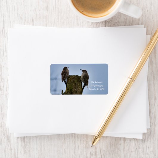 Northern Flicker New Address Label ラベル (インサイチュ)