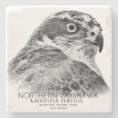Northern Goshawk ストーンコースター (正面)