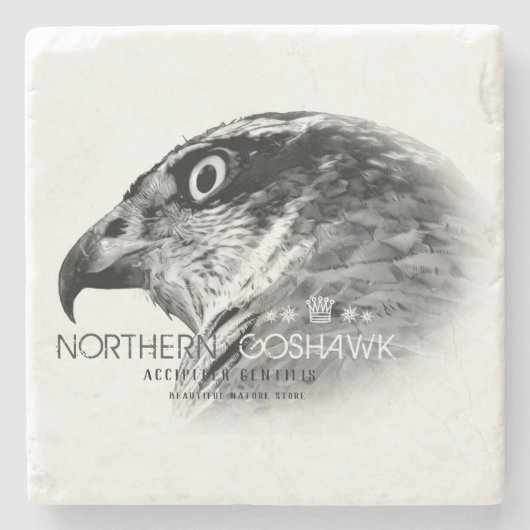 Northern Goshawk ストーンコースター (正面)