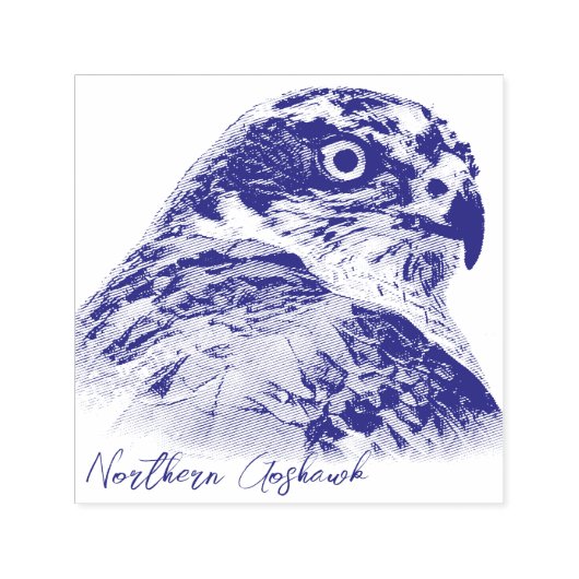 Northern Goshawk セルフインキングスタンプ (デザイン)