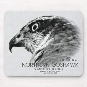 Northern Goshawk マウスパッド