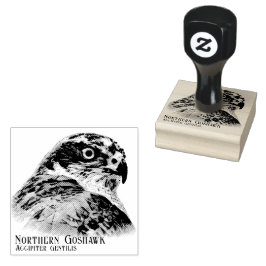 Northern Goshawk ラバースタンプ