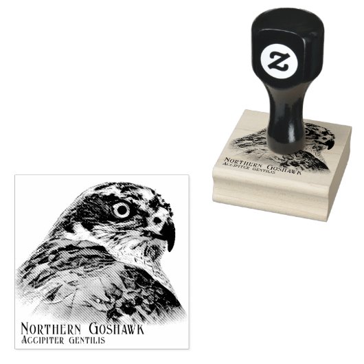 Northern Goshawk ラバースタンプ (押印)