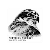 Northern Goshawk ラバースタンプ (インプリント)