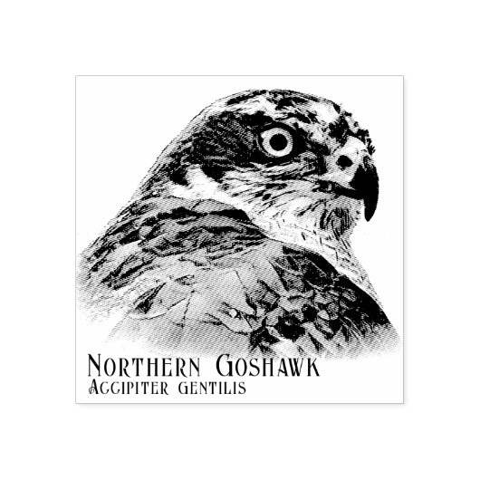 Northern Goshawk ラバースタンプ (インプリント)
