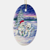 Northern Lightsのオーナメント セラミックオーナメント (右)