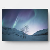 Northern Lights自然写真 フォトプラーク (正面)