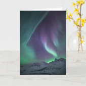 Northern Lights風景写真 カード (黄色い花)