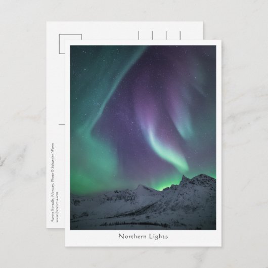 Northern Lights風景写真 ポストカード (正面/裏面)