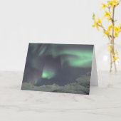 Northern Lights 3 カード (黄色い花)