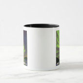 Northern Lights and Orcas - Wrangell, Alaska マグカップ (中央)