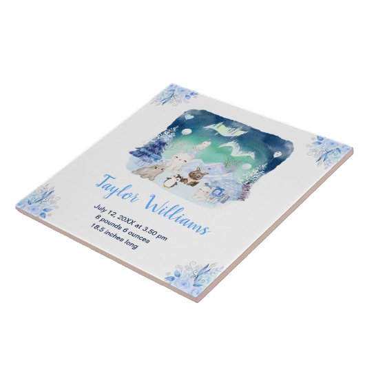 Northern Lights Arctic Animals Birth Statistics タイル (側面)