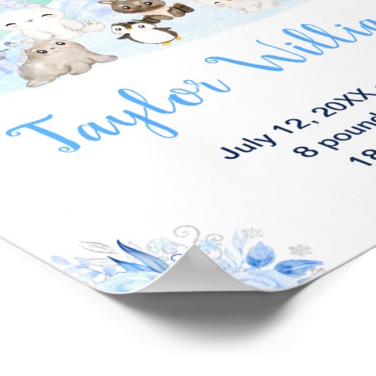 Northern Lights Arctic Animals Birth Statistics ポスター (角)