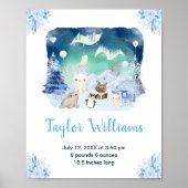 Northern Lights Arctic Animals Birth Statistics ポスター (正面)