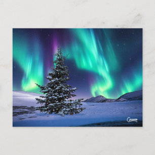 Northern Lights Christmas – ポストカード