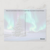 Northern Lights Christmas – ポストカード (裏面)