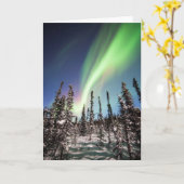 Northern Lights | Denaliの国立公園 カード (黄色い花)
