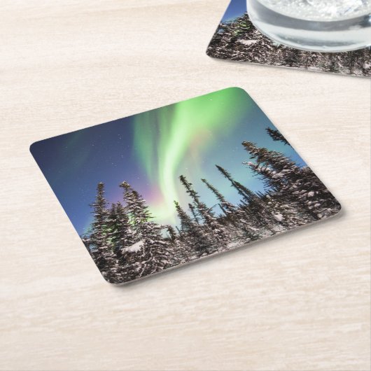 Northern Lights | Denaliの国立公園 スクエアペーパーコースター (アングル)
