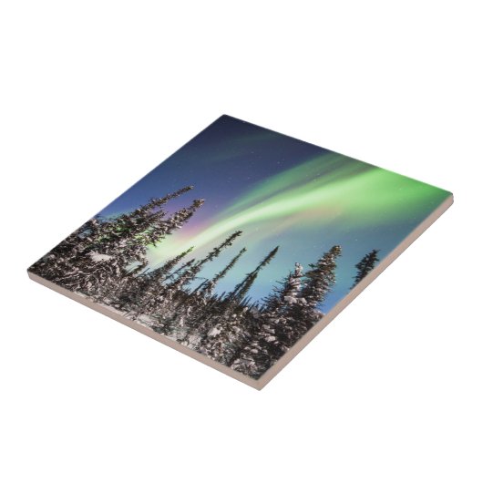 Northern Lights | Denaliの国立公園 タイル (側面)