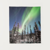 Northern Lights | Denaliの国立公園 タペストリー (正面)