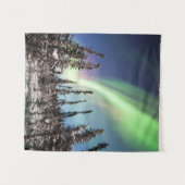 Northern Lights | Denaliの国立公園 タペストリー (正面(横))